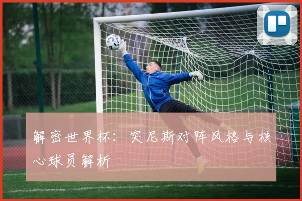 解密世界杯：突尼斯对阵风格与核心球员解析