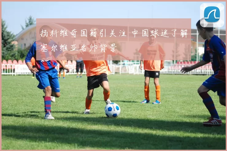 扬科维奇国籍引关注 中国球迷了解塞尔维亚名帅背景