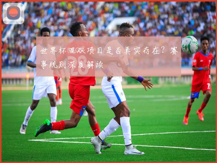 世界杯混双项目是否真实存在？赛事规则深度解读