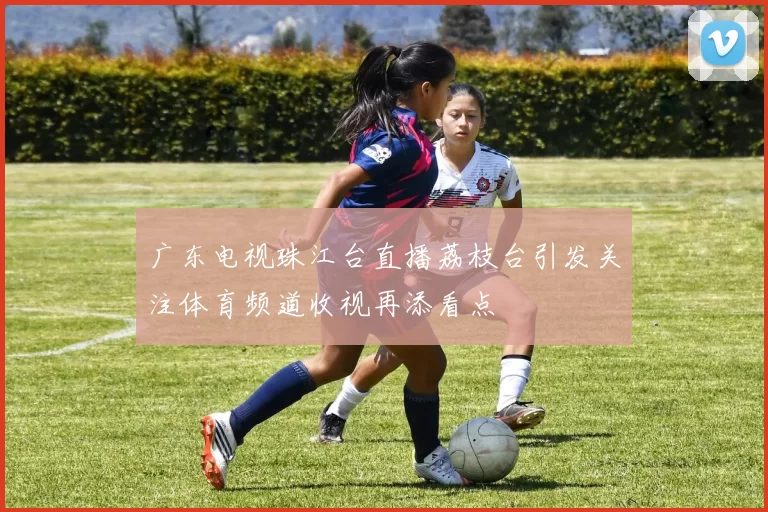 广东电视珠江台直播荔枝台引发关注体育频道收视再添看点