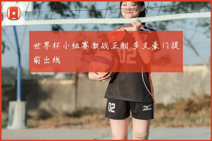 世界杯小组赛激战正酣 多支豪门提前出线