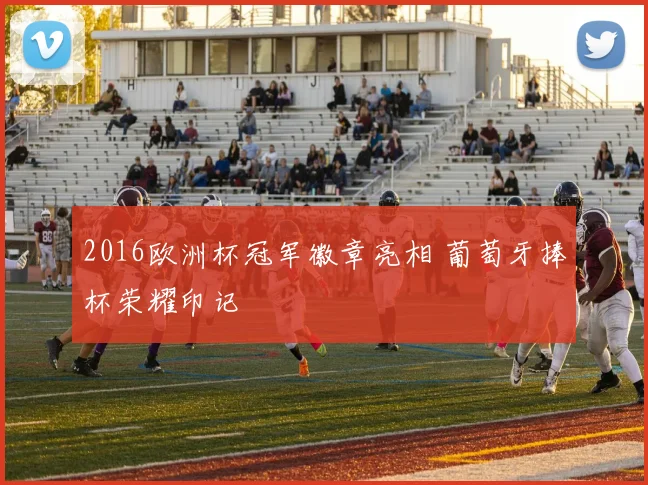2016欧洲杯冠军徽章亮相 葡萄牙捧杯荣耀印记