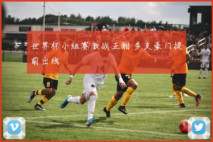 世界杯小组赛激战正酣 多支豪门提前出线